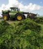 listes des plages bretonnes concernées par la fermeture suites aux algues vertes